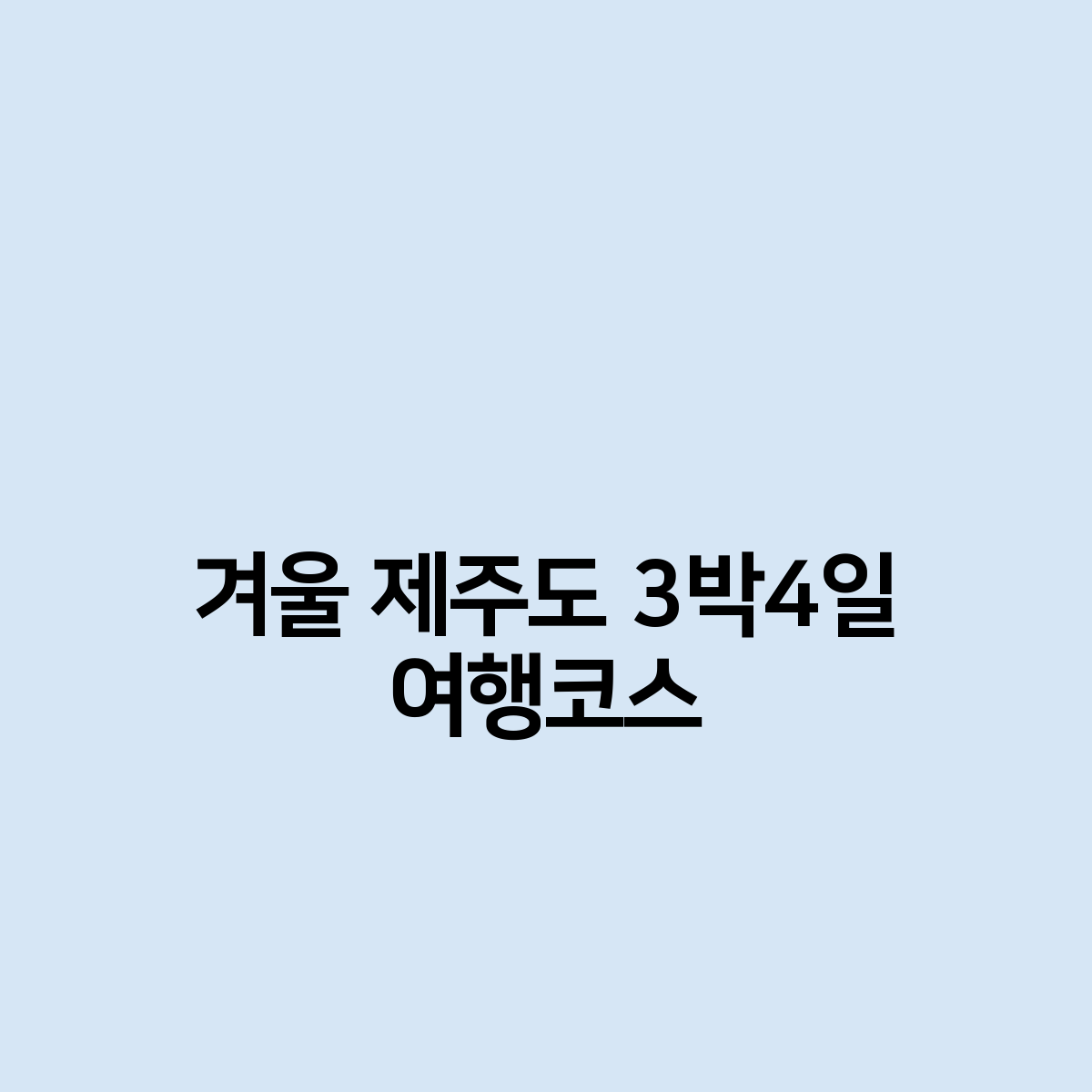 겨울 제주도 3박4일 여행코스