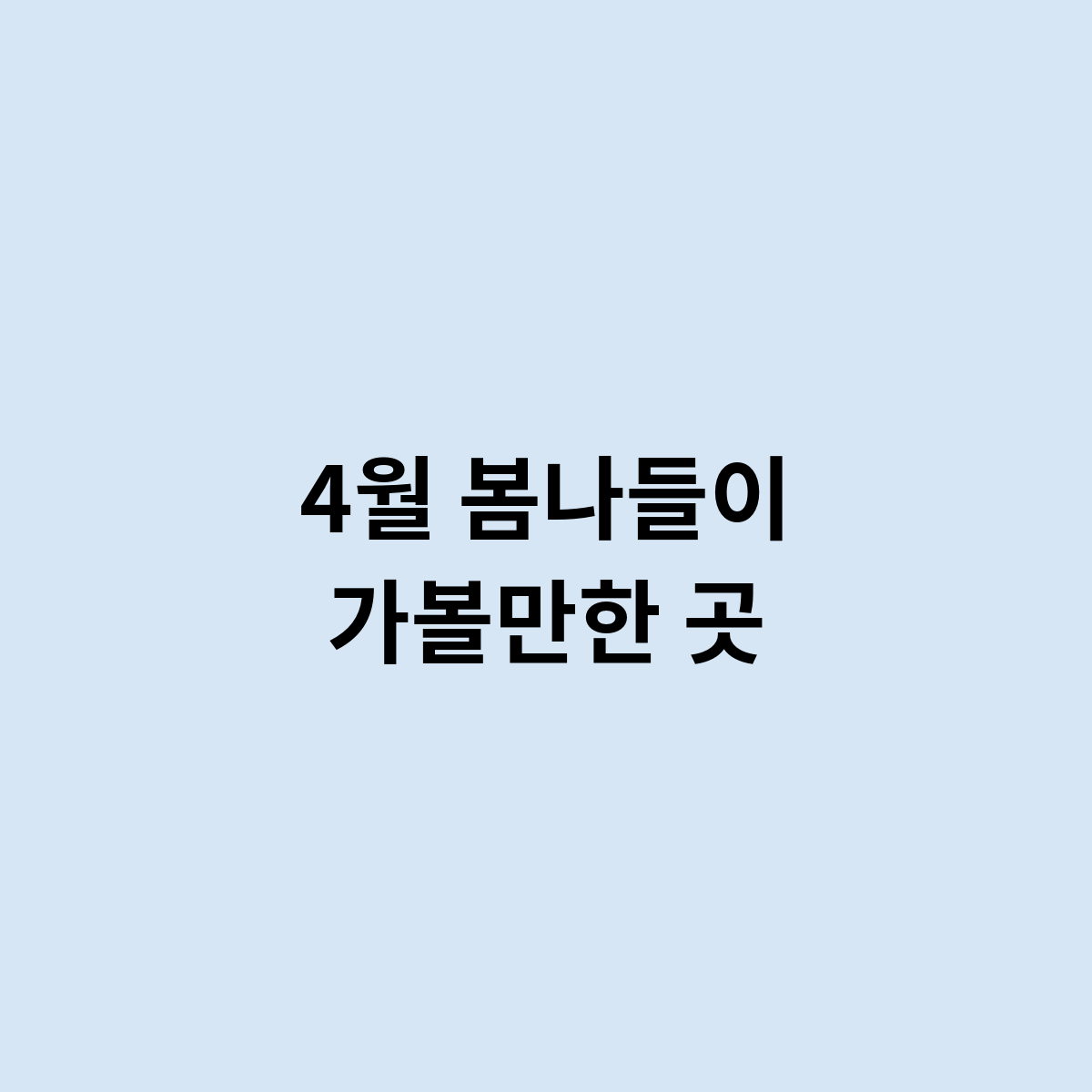 4월 봄나들이
