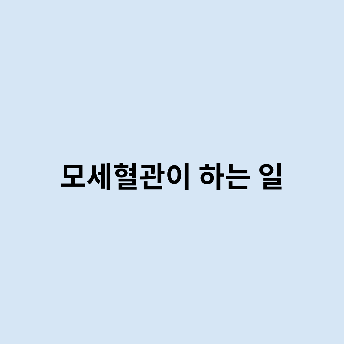 모세혈관이 하는 일