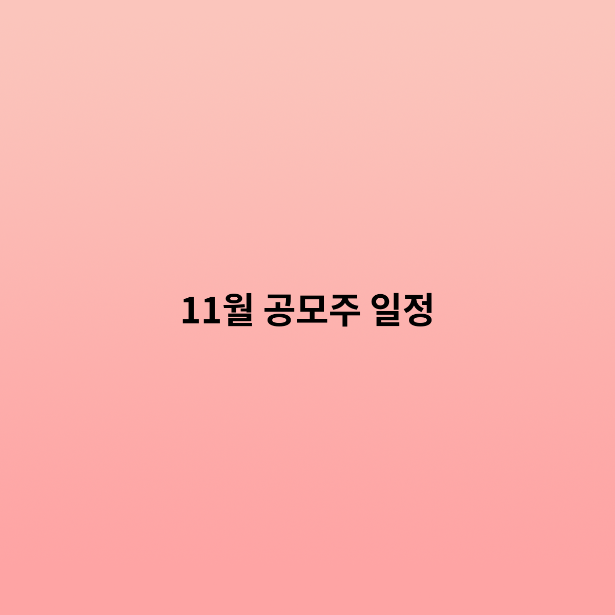 11월 공모주 일정