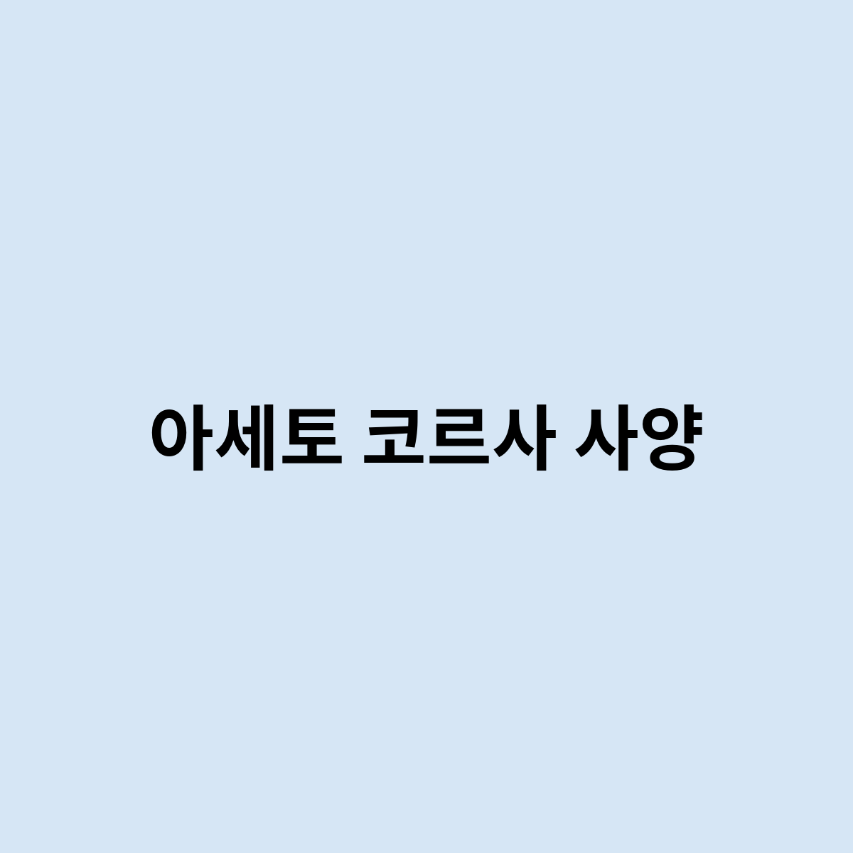 아세토 코르사 사양은 어떤가 ?