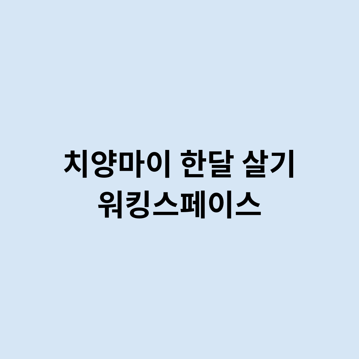 치양마이 한달 살기 워킹스페이스
