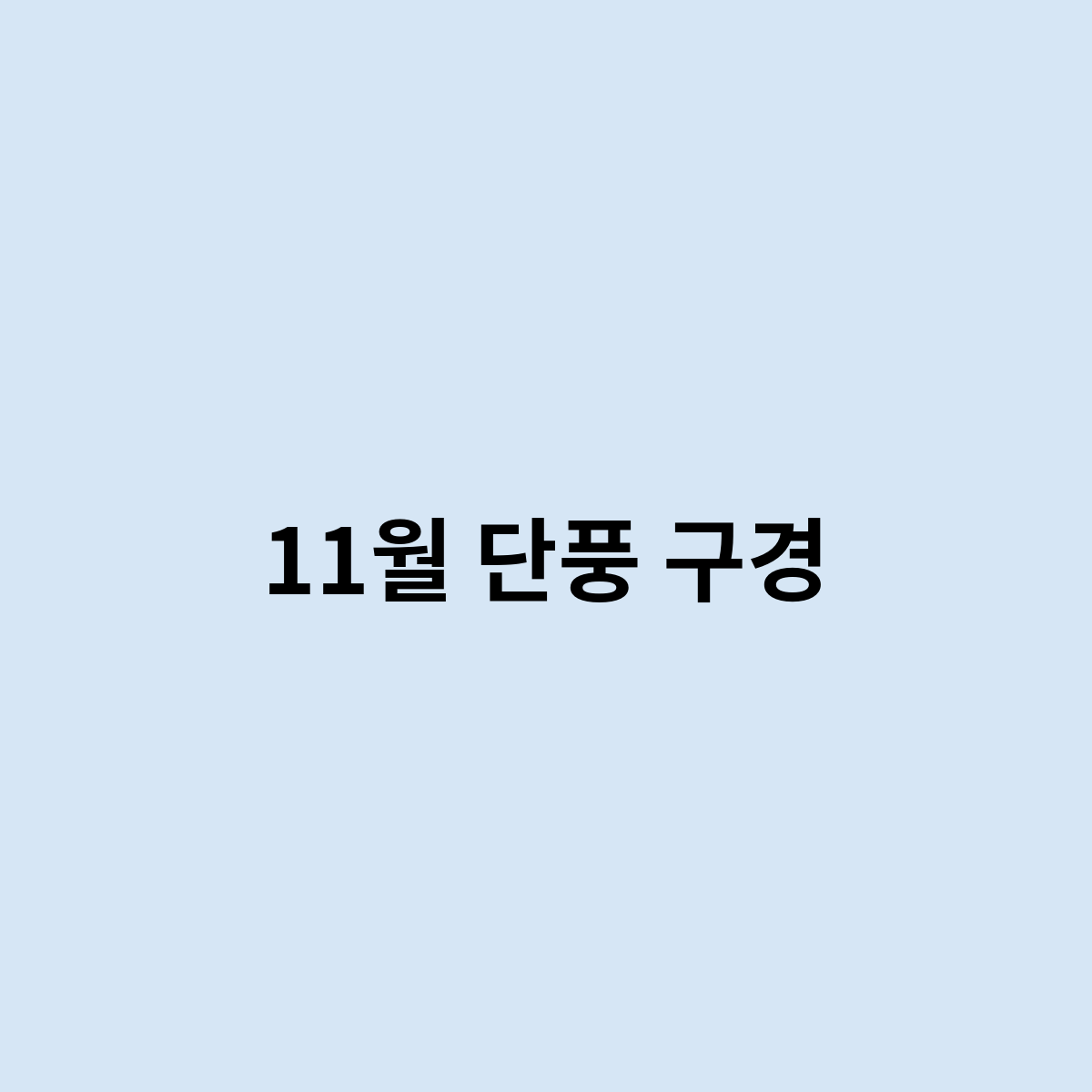 11월 단풍 구경