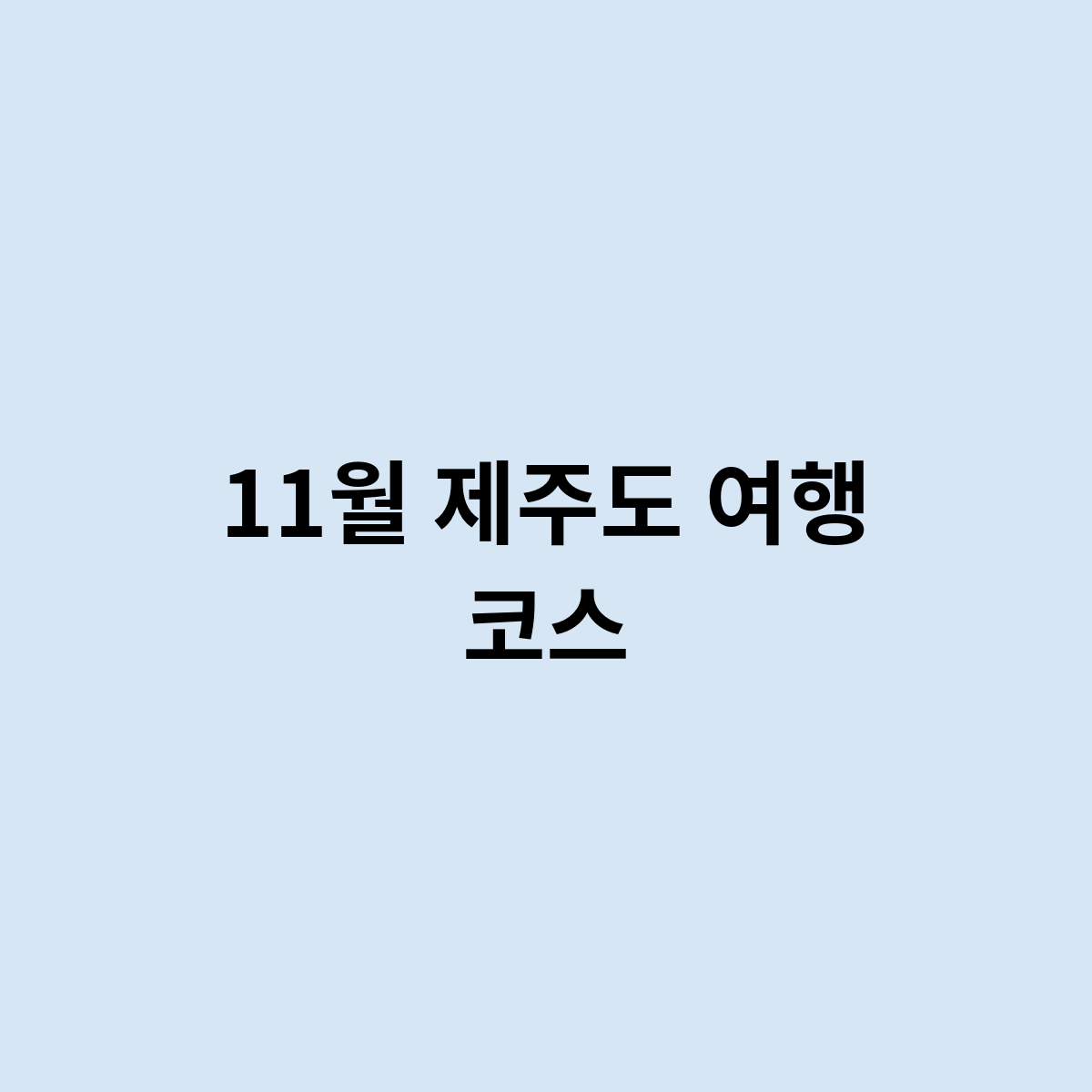 11월 제주도 여행 코스