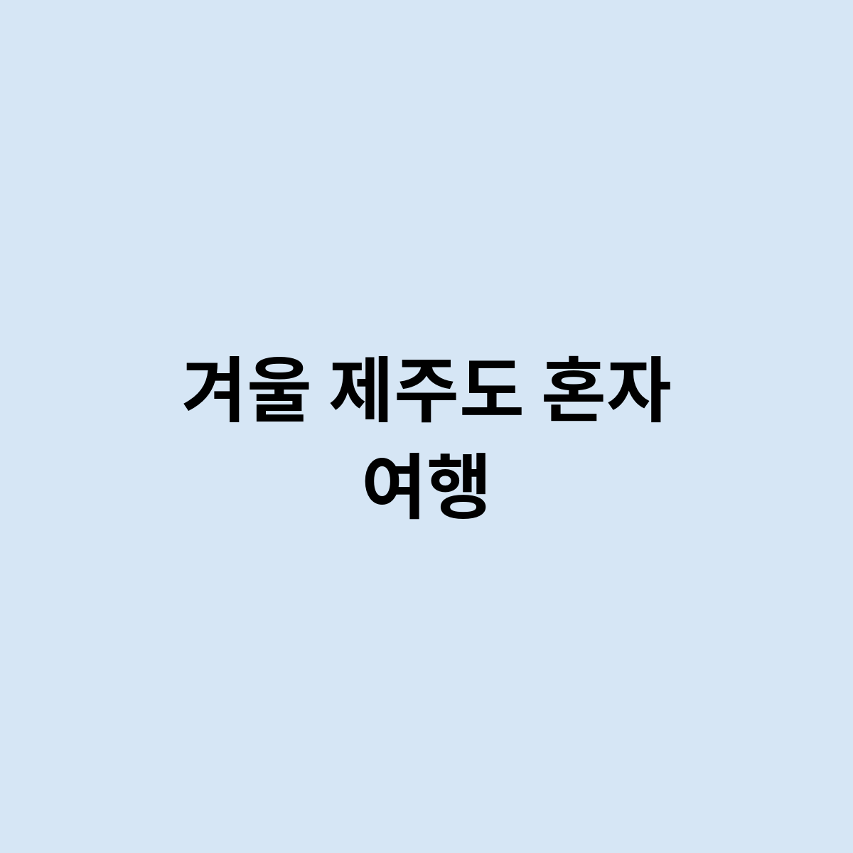 겨울 제주도 혼자 여행