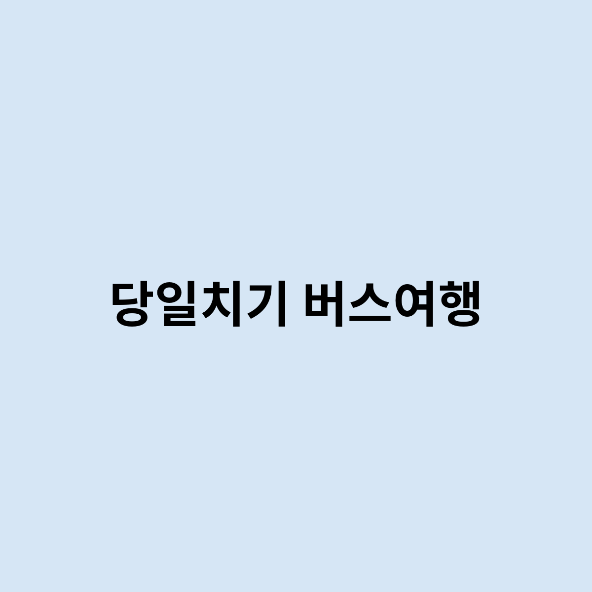 당일치기 버스여행