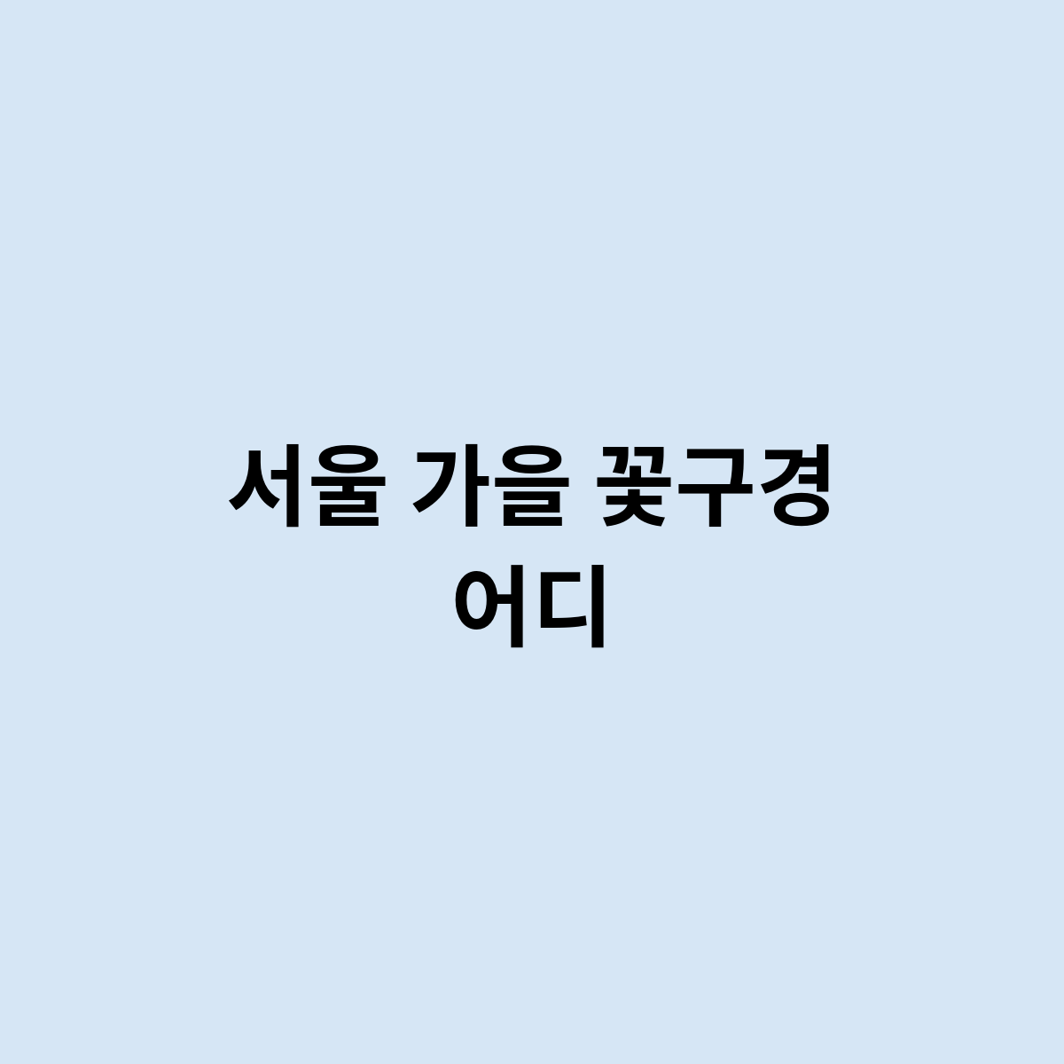 서울 가을 꽃구경 어디