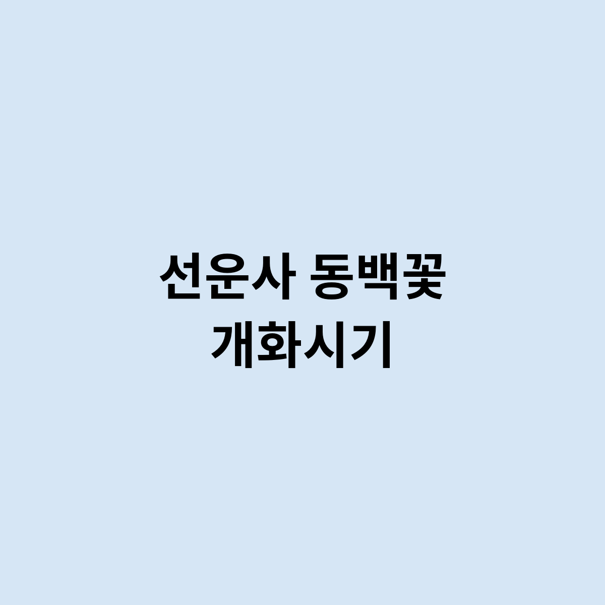선운사 동백꽃 개화시기