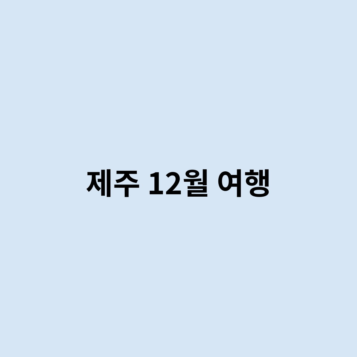 제주 12월 여행을 조금 더 좋게 하는 법은 ?
