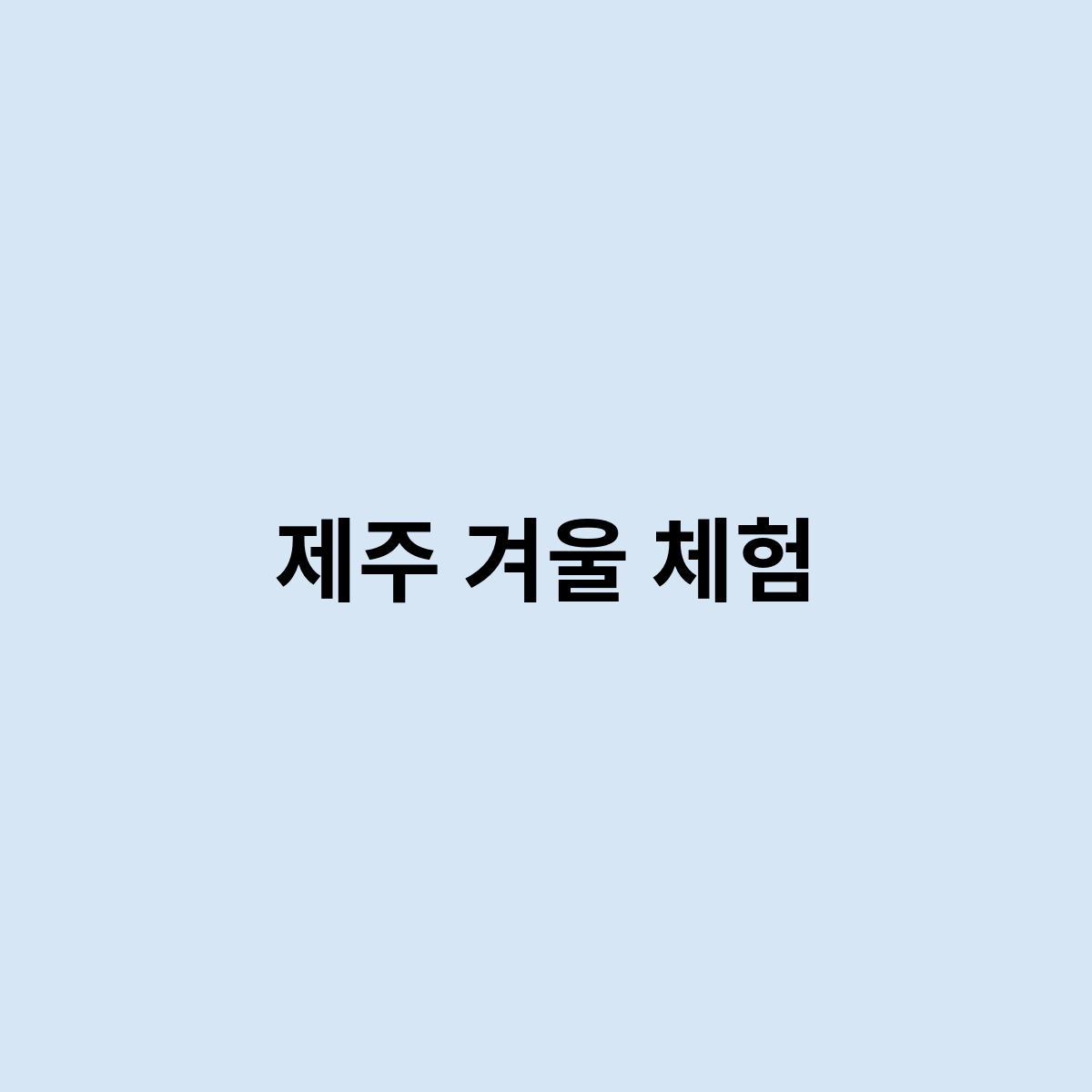 제주 겨울 체험