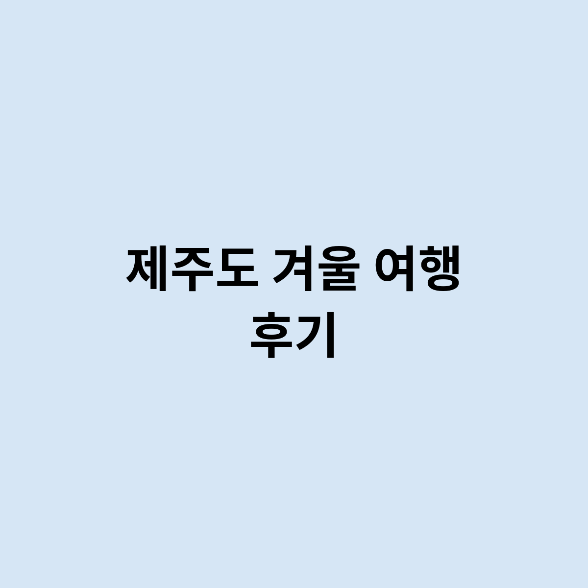 제주도 겨울 여행 후기