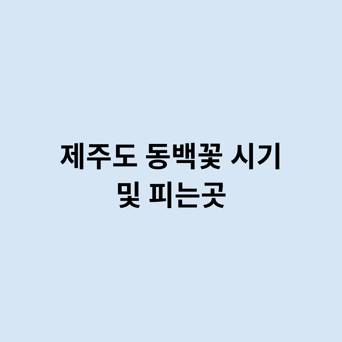 제주도 동백꽃 시기 및 피는곳