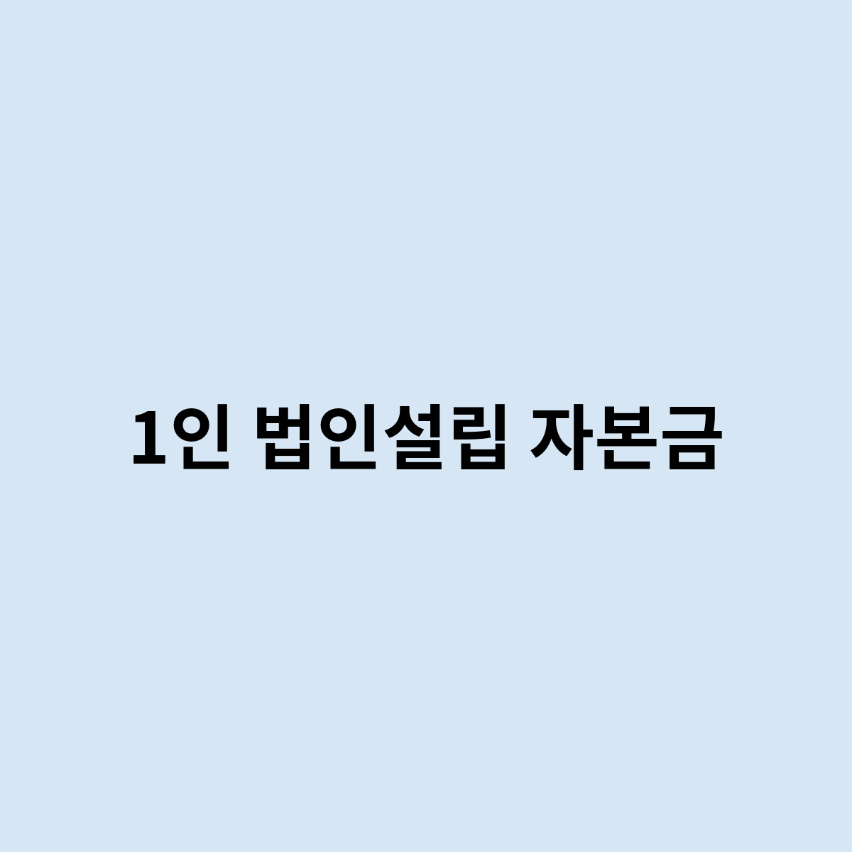 1인 법인설립 자본금