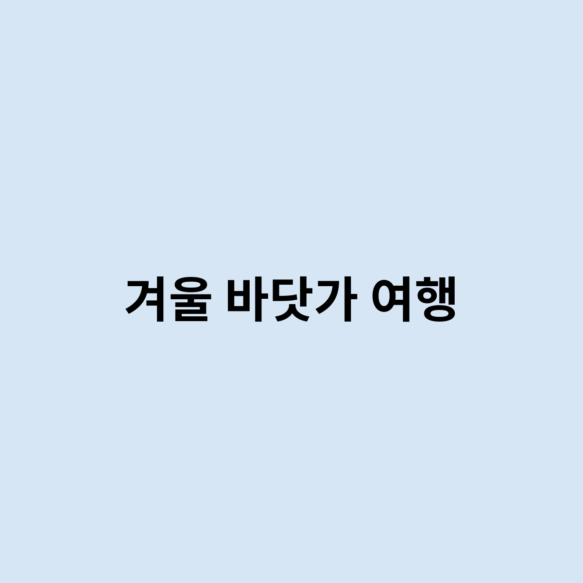 겨울 바닷가 여행