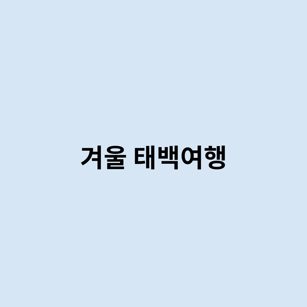 겨울 태백여행