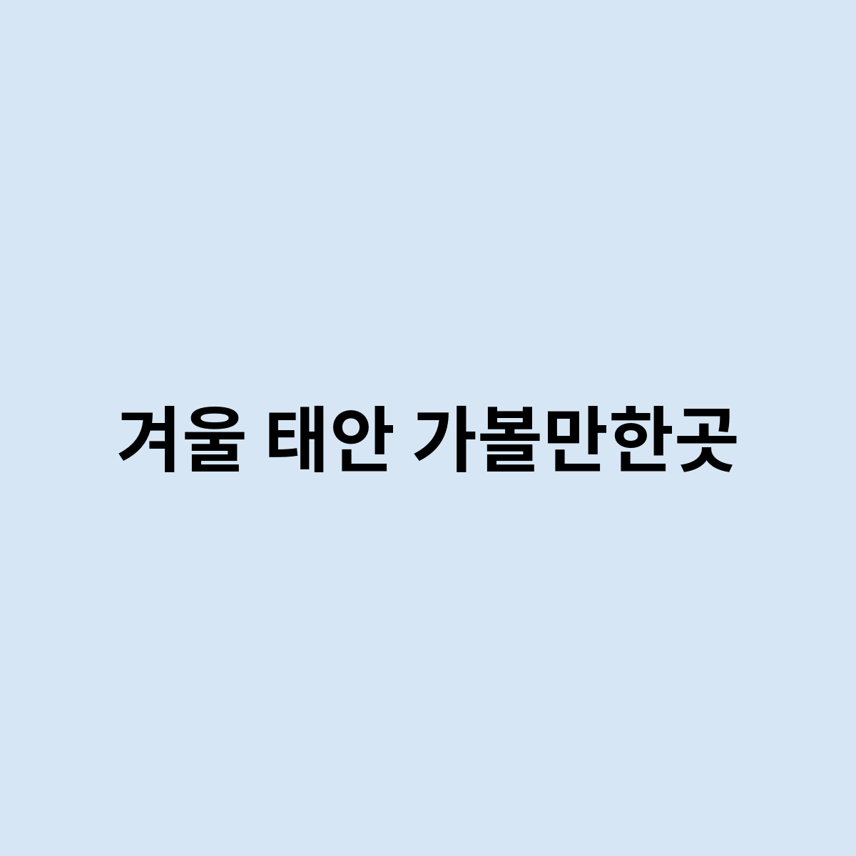 겨울 태안 가볼만한곳
