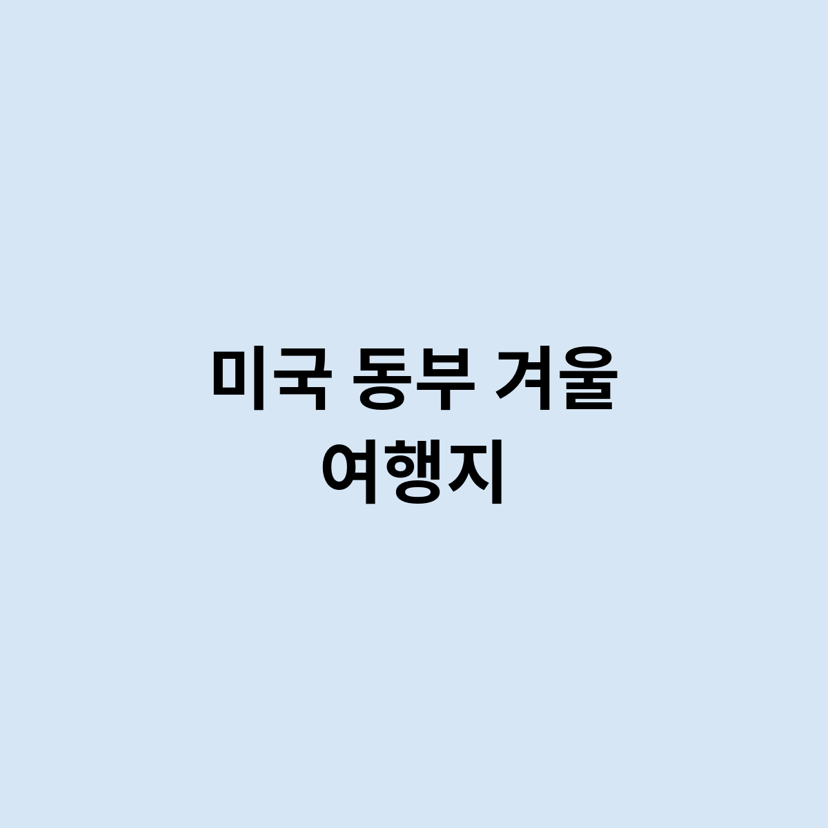 미국 동부 겨울 여행지는 어떻게 되나요 ?