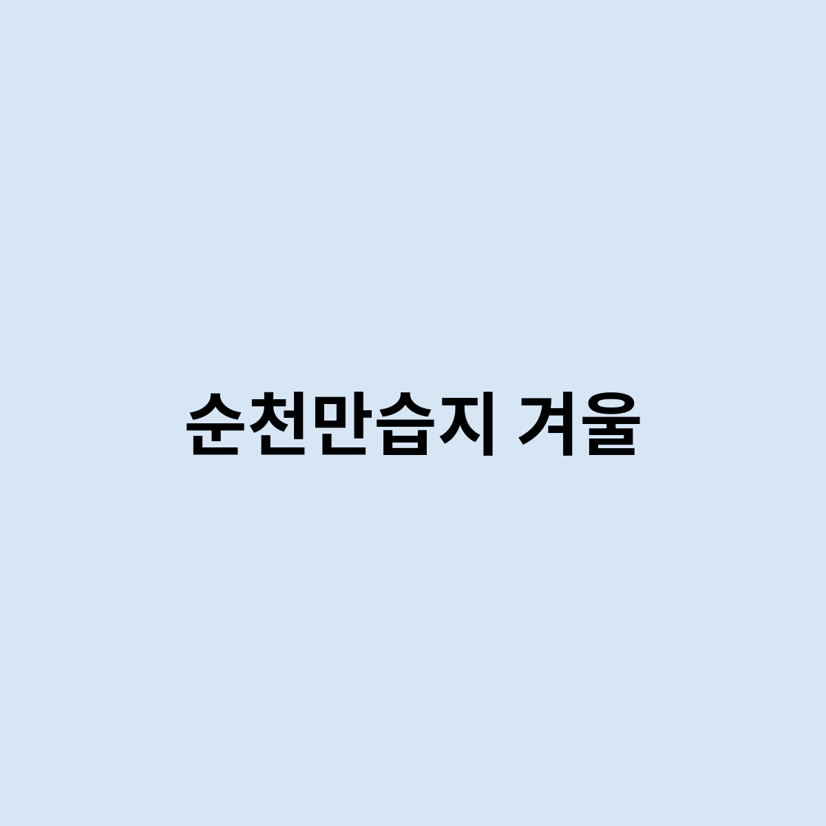 순천만습지 겨울