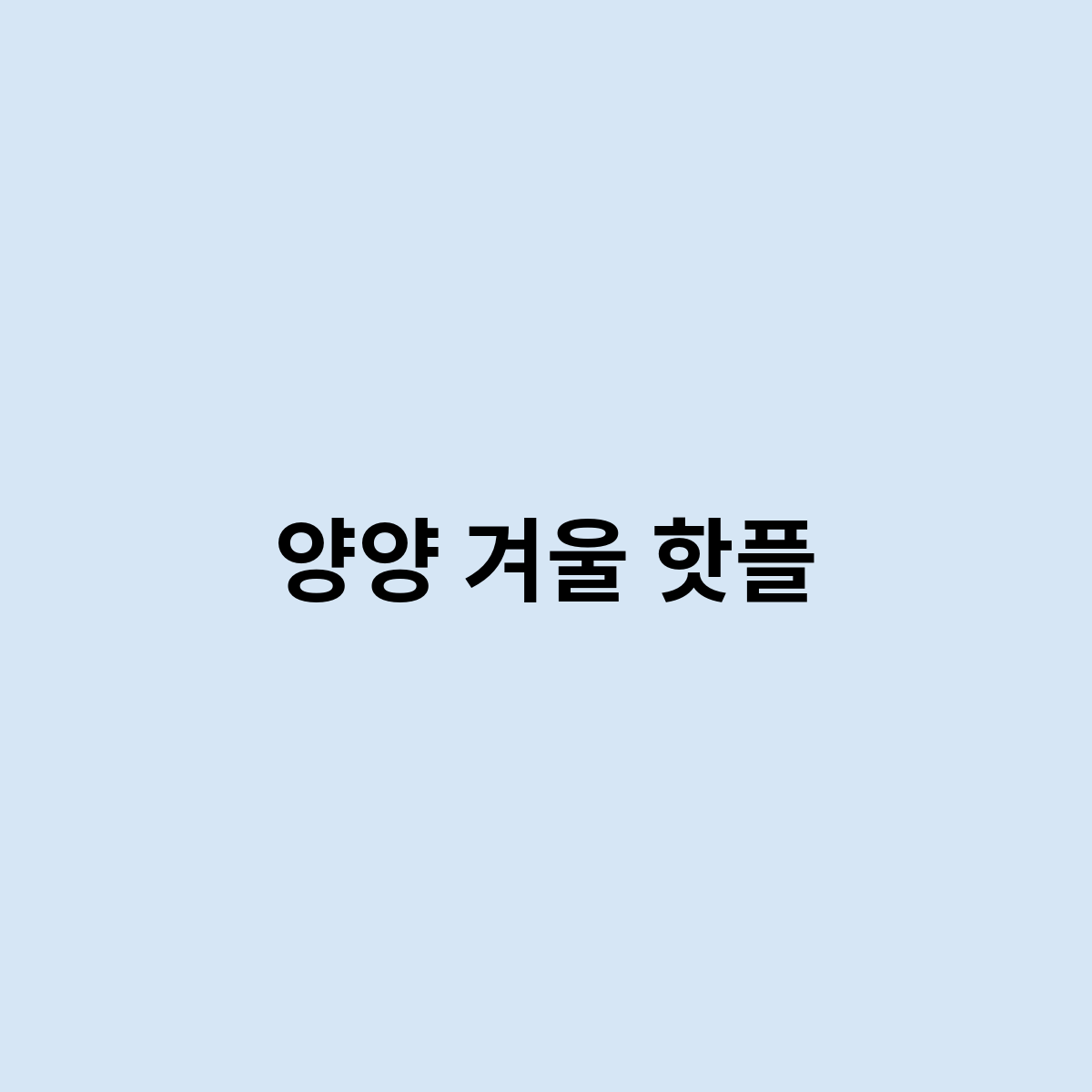 양양 겨울 핫플을 한번 알아보자