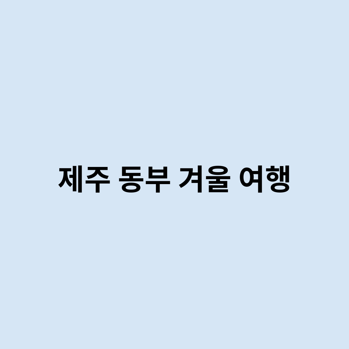 제주 동부 겨울 여행