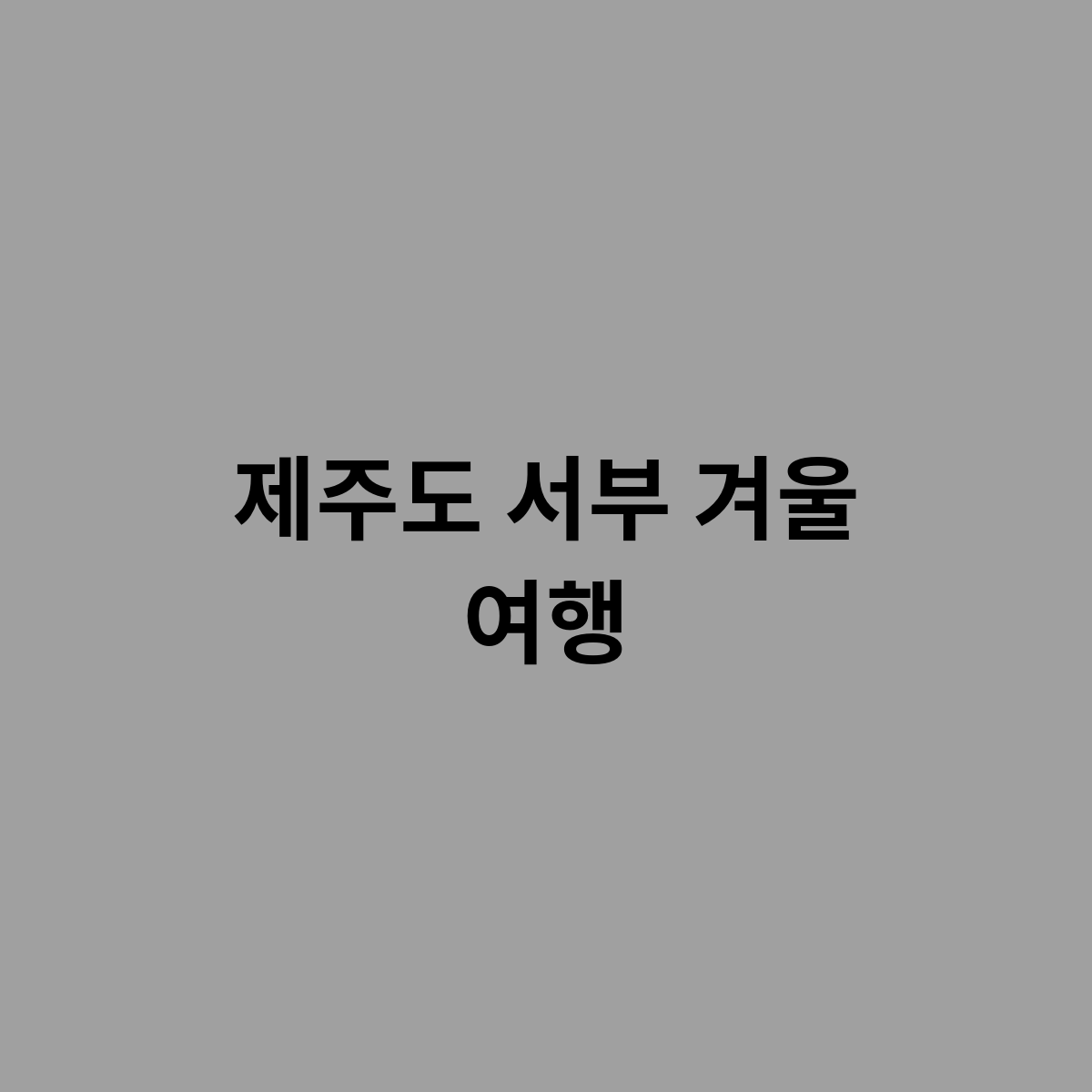 제주도 서부 겨울 여행