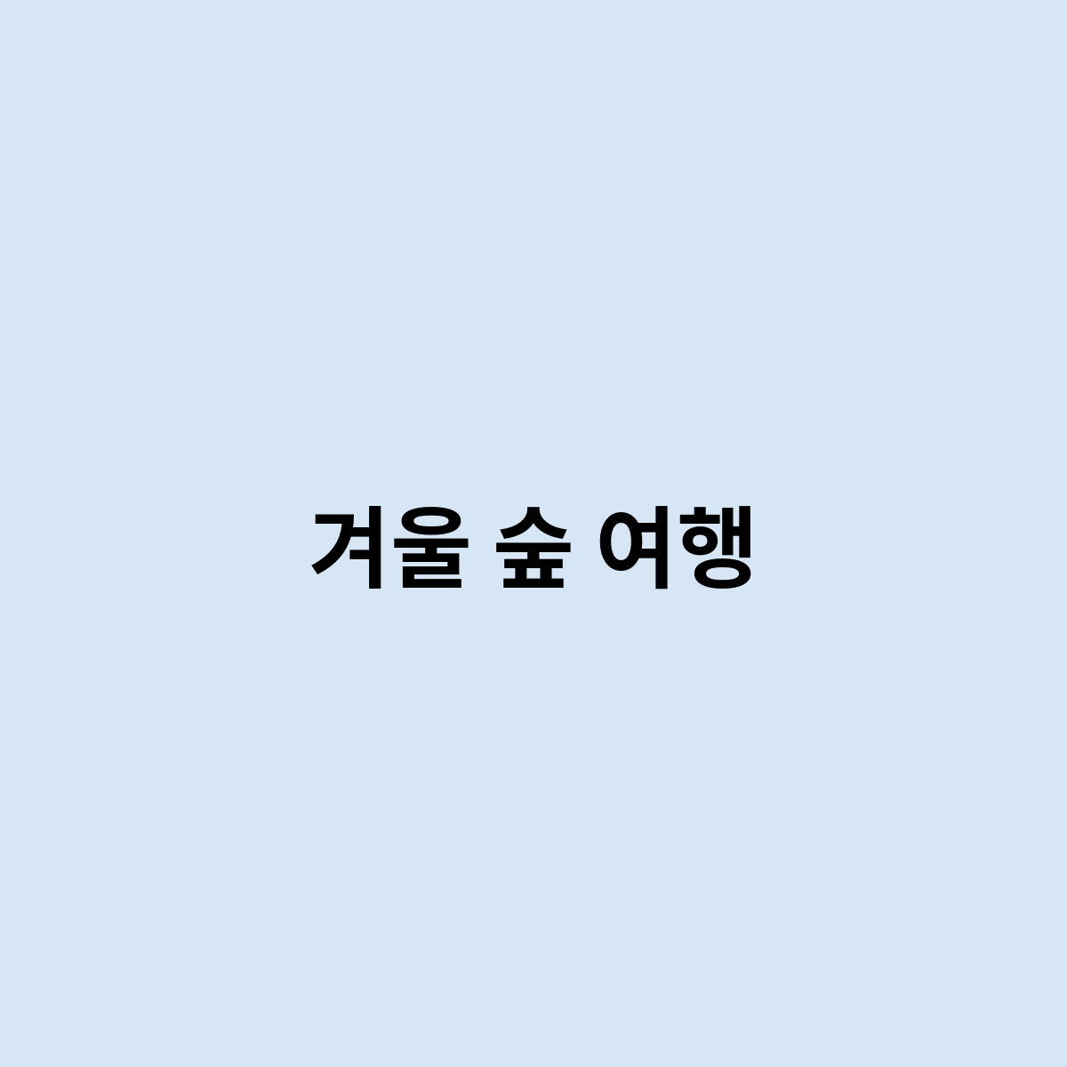 겨울 숲 여행
