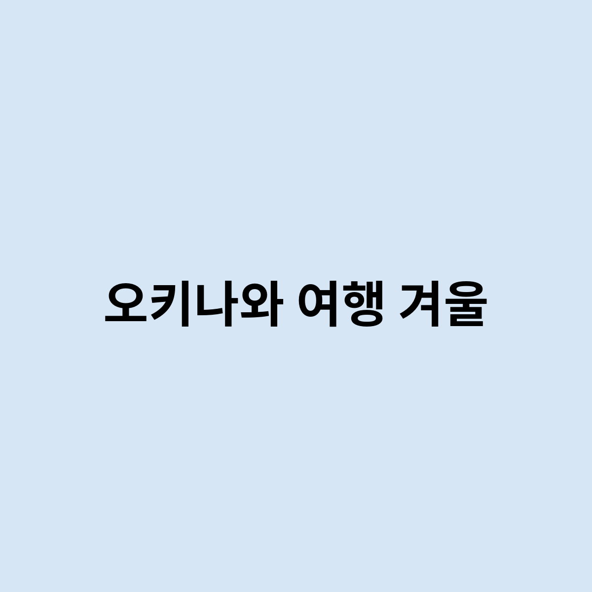오키나와 여행 겨울