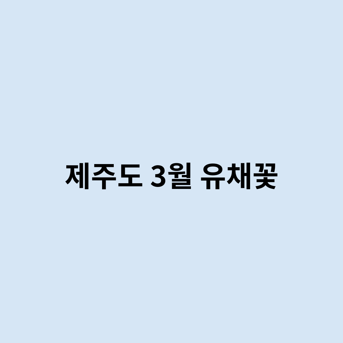 제주도 3월 유채꽃으로 유명한곳은 어디인가요?