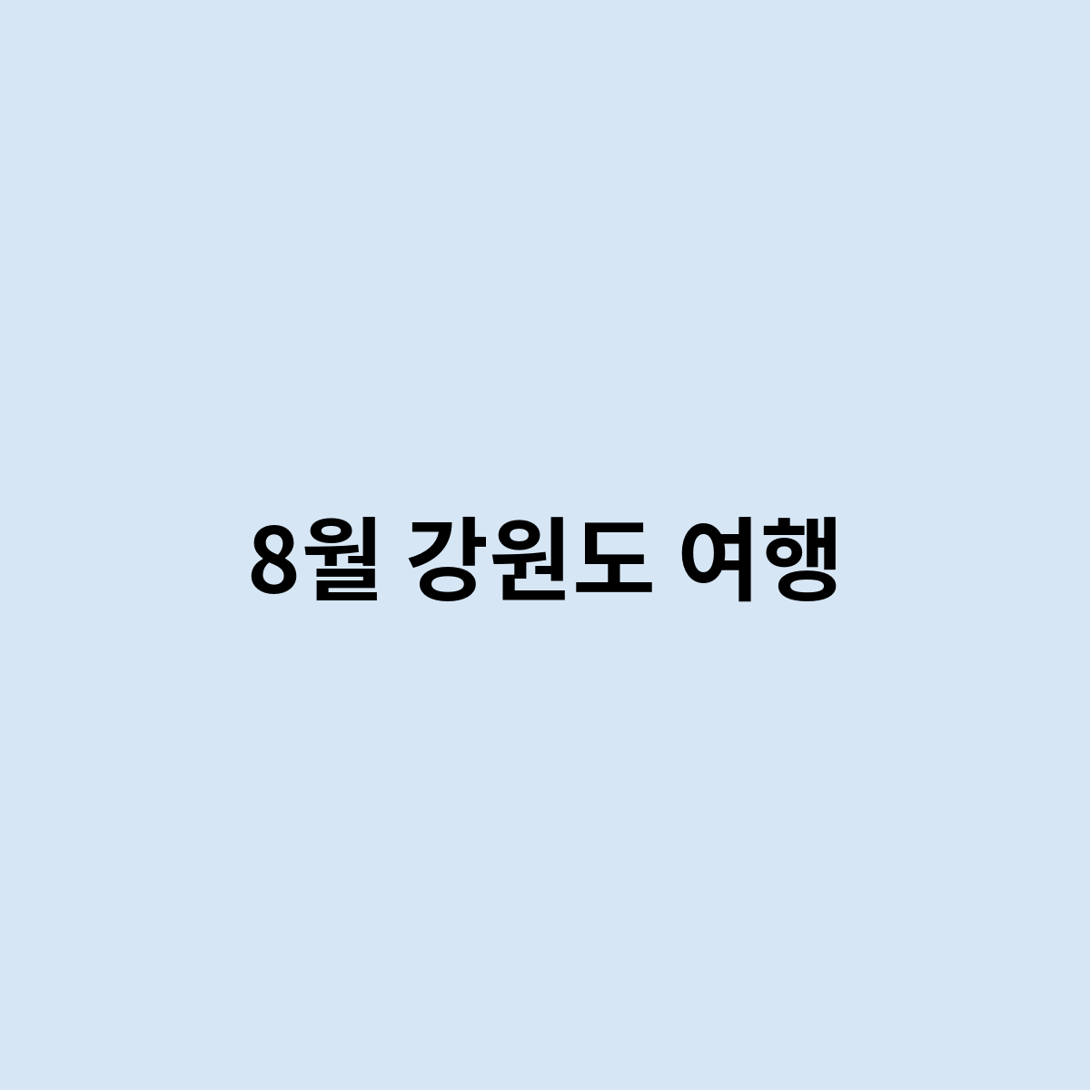 8월 강원도 여행
