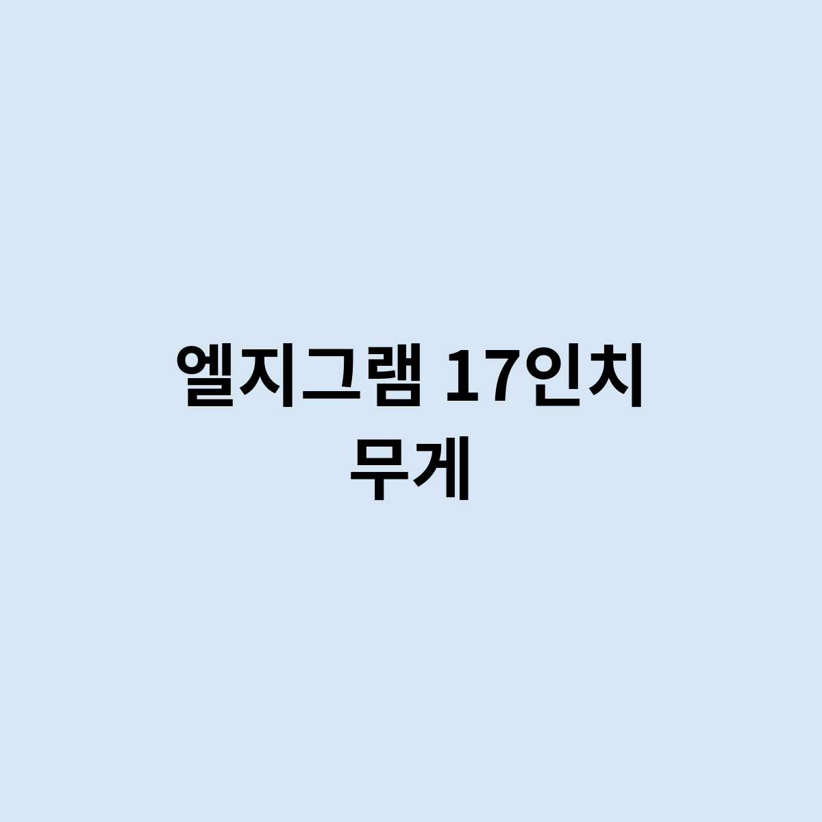 엘지그램 17인치 무게