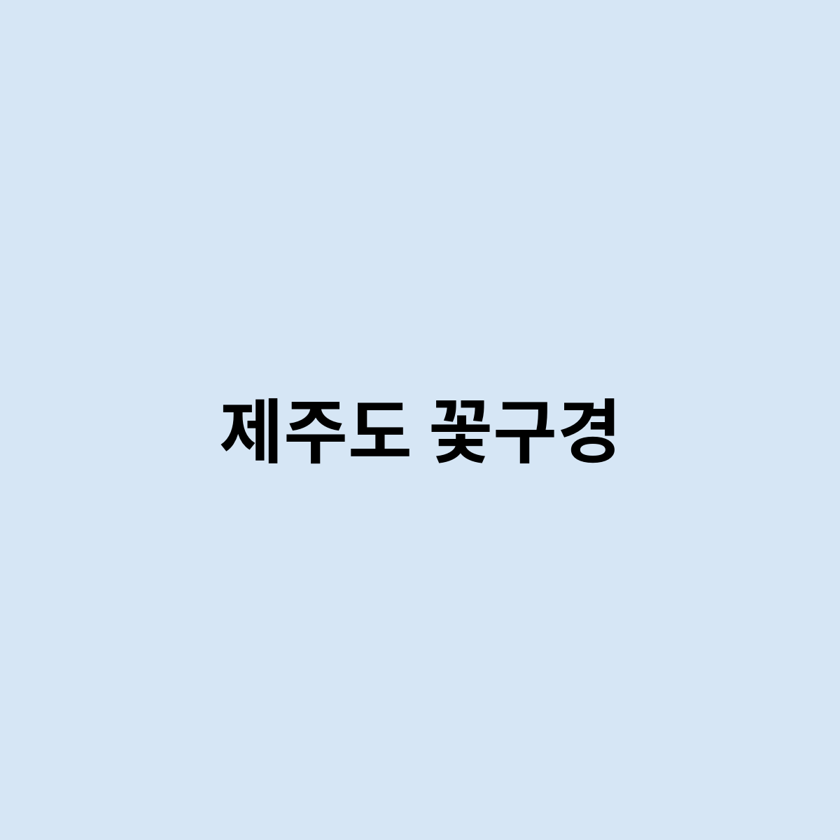 제주도 꽃구경