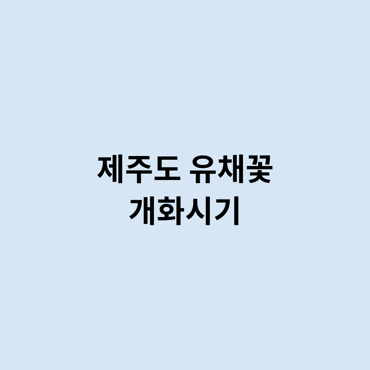 제주도 유채꽃 개화시기는 어떻게 되나요 ?