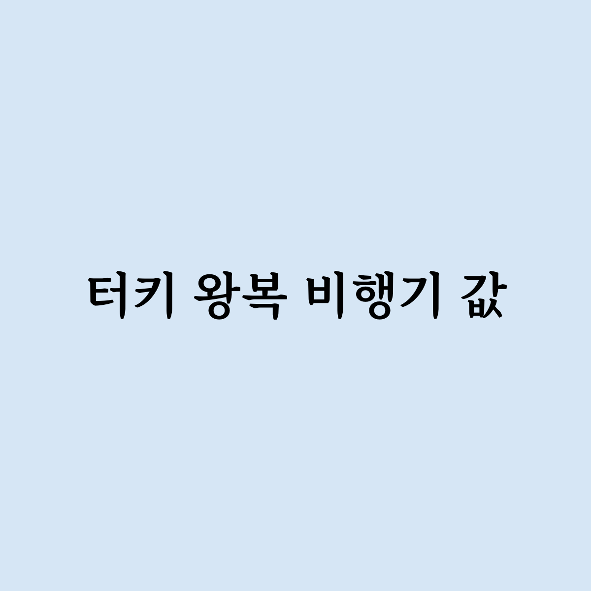 터키 왕복 비행기 값