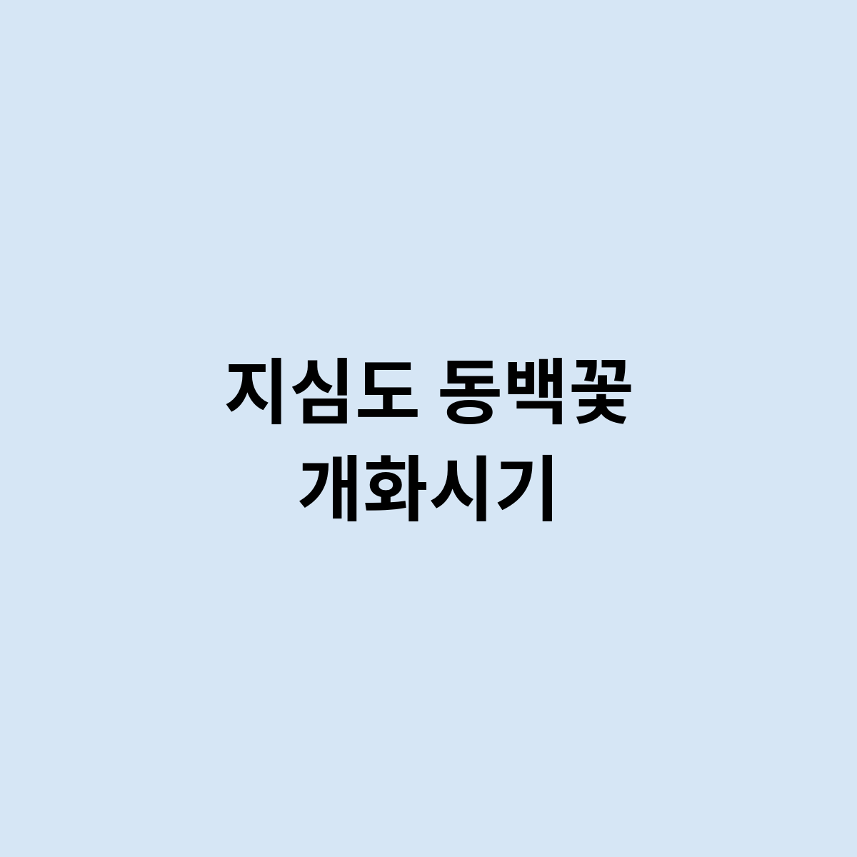 지심도 동백꽃 개화시기