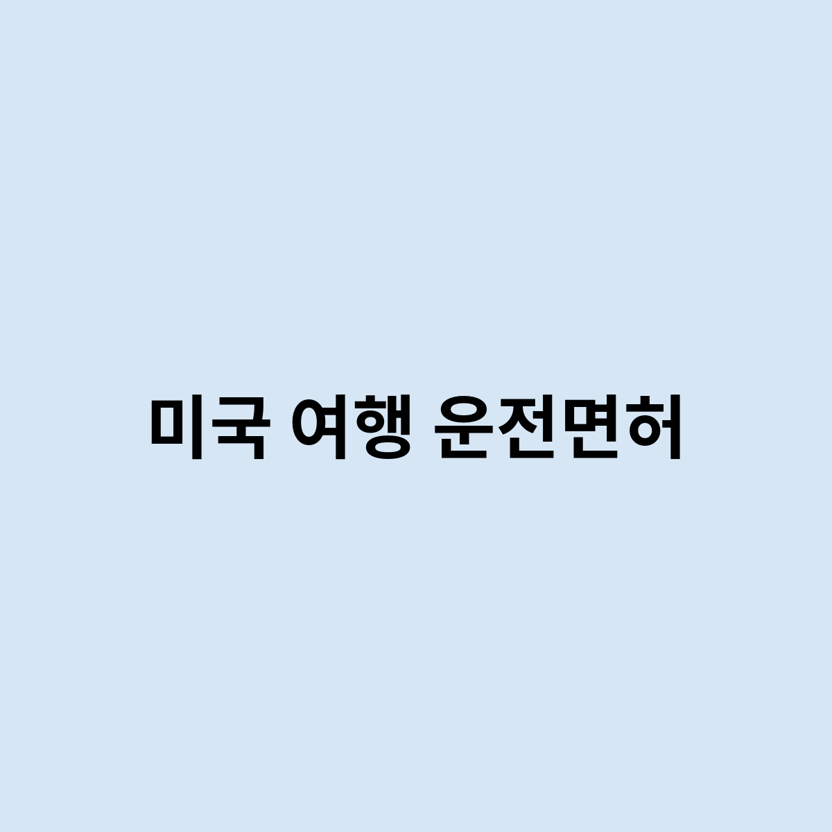 미국 여행 운전면허
