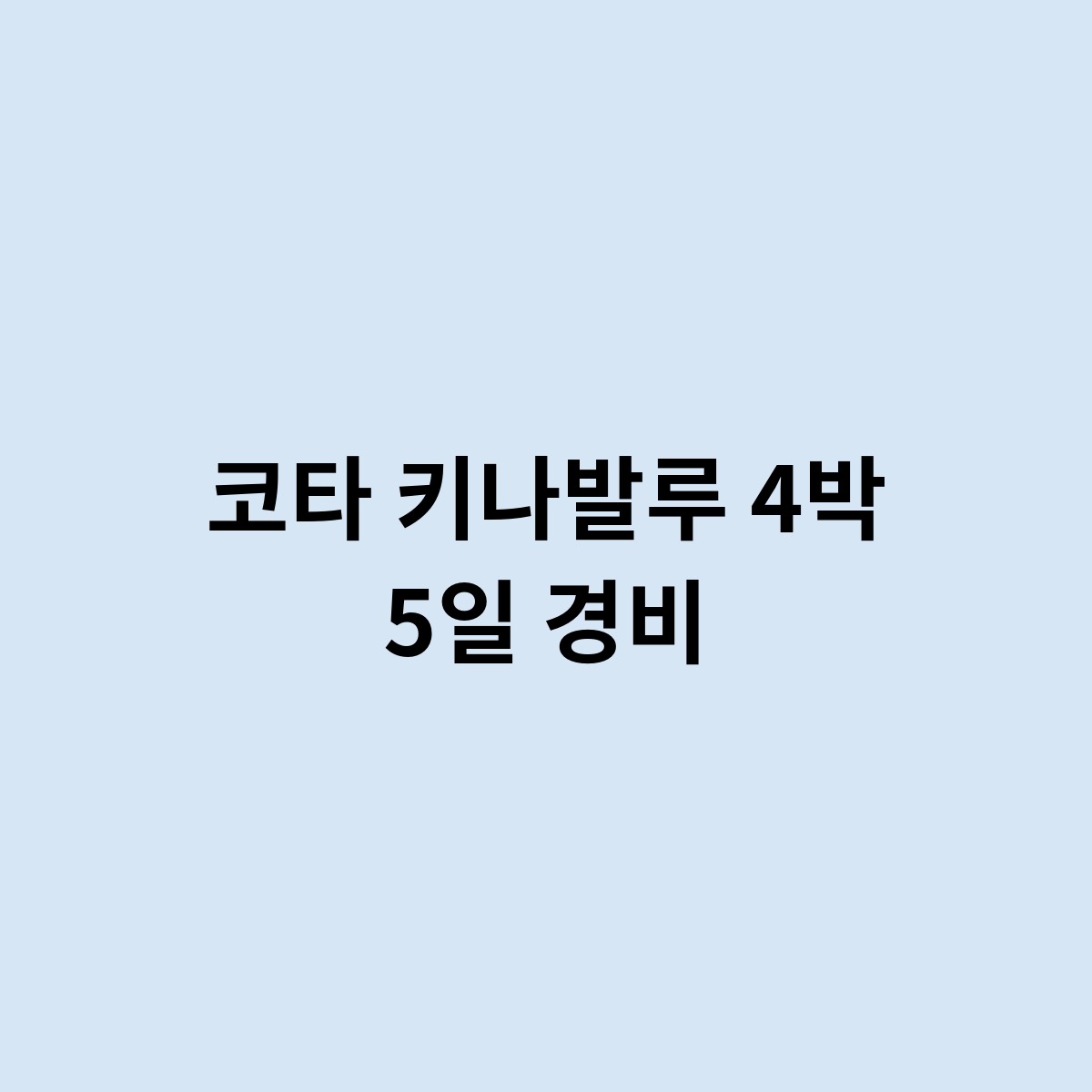 코타 키나발루 4박 5일 경비