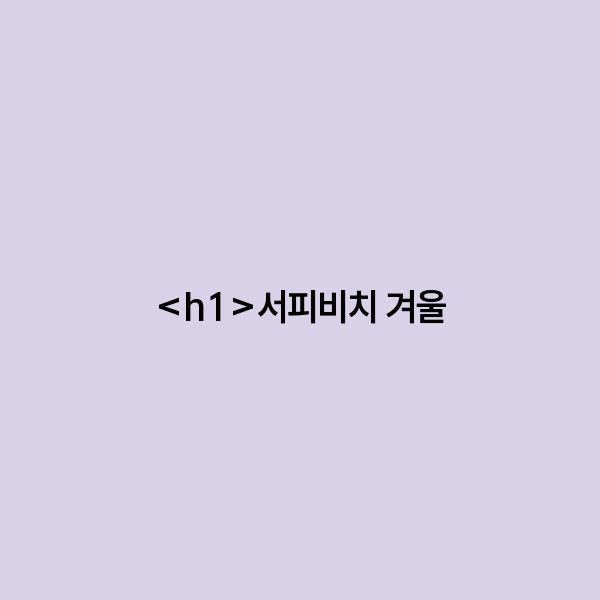 서피비치 겨울