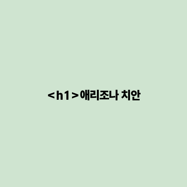 애리조나 치안