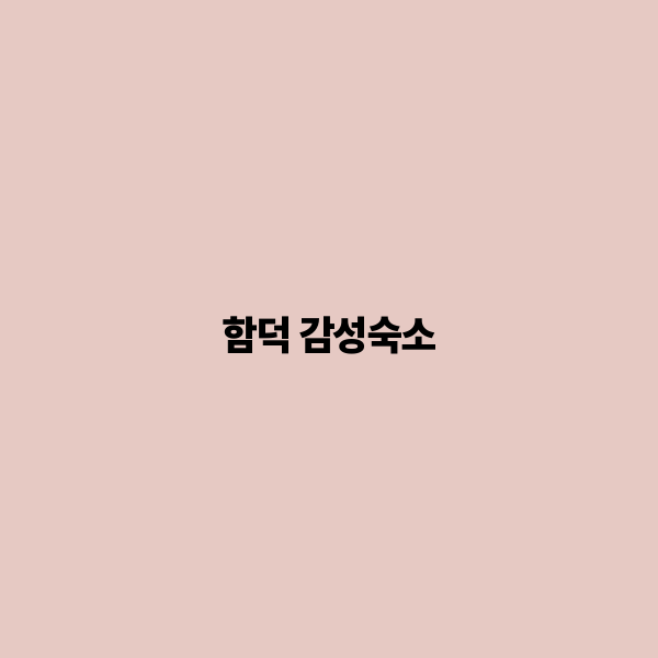 함덕 감성숙소