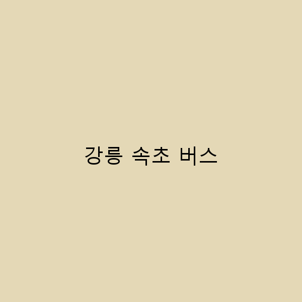 강릉 속초 버스 여행, 놓치면 후회할 꿀팁 5가지