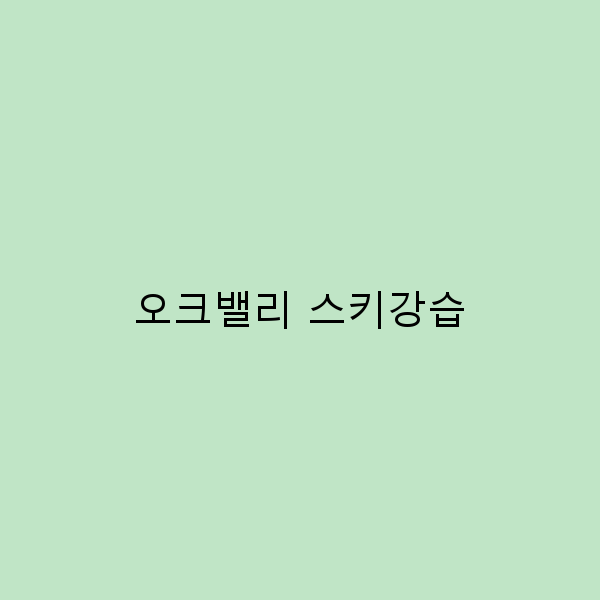 오크밸리 스키강습으로 겨울 스포츠 마스터하기