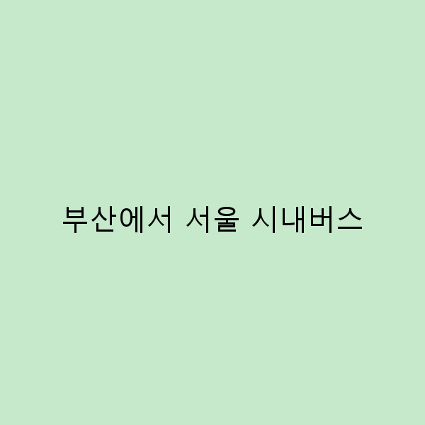 부산에서 서울 시내버스, 여행의 새로운 패러다임!