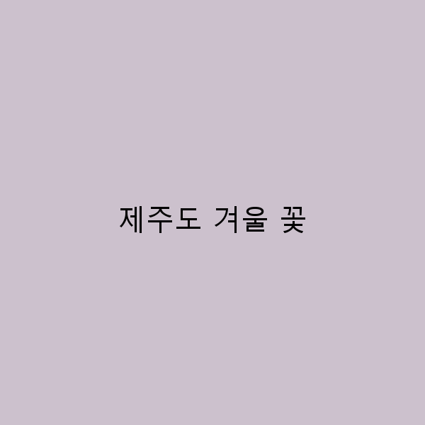 겨울 제주도에서 만나는 아름다운 꽃 여행 가이드