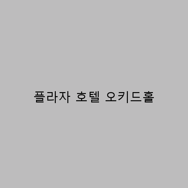 플라자 호텔 오키드홀에서 즐기는 완벽한 여행의 비밀