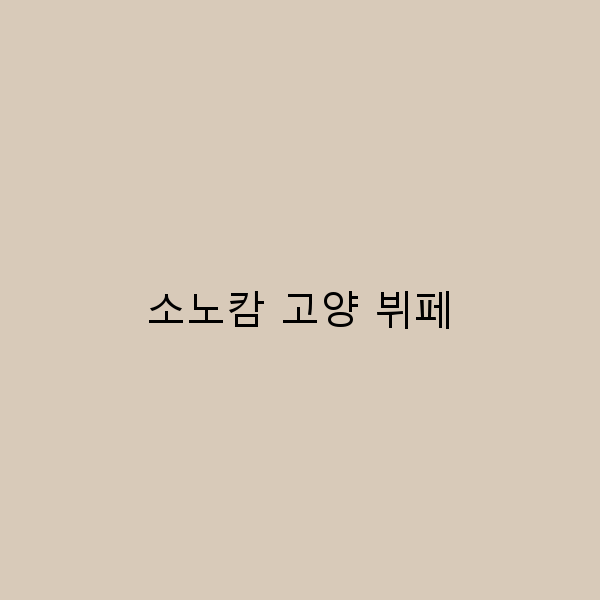 소노캄 고양 뷔페 미식가를 위한 완벽한 여행 가이드