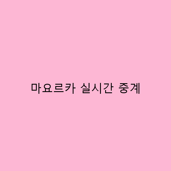 마요르카 실시간 중계로 떠나는 완벽한 여행 가이드
