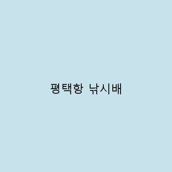 평택항 낚시배로 떠나는 완벽한 여행 가이드
