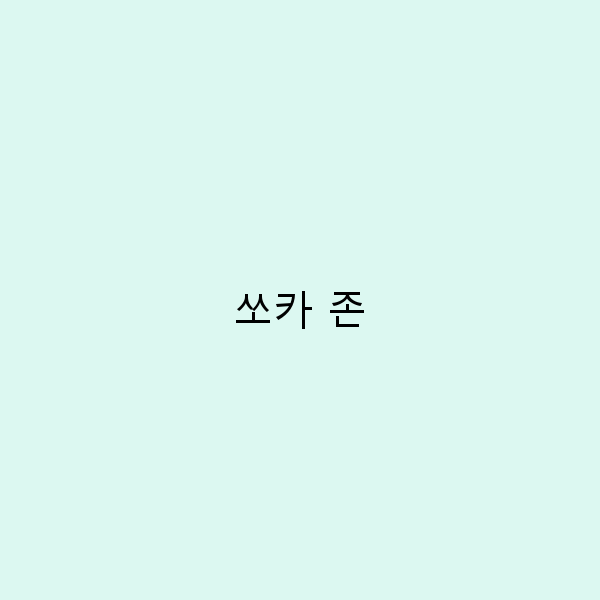 쏘카 존에서의 완벽한 여행 놓치면 안 될 팁과 추천 장소