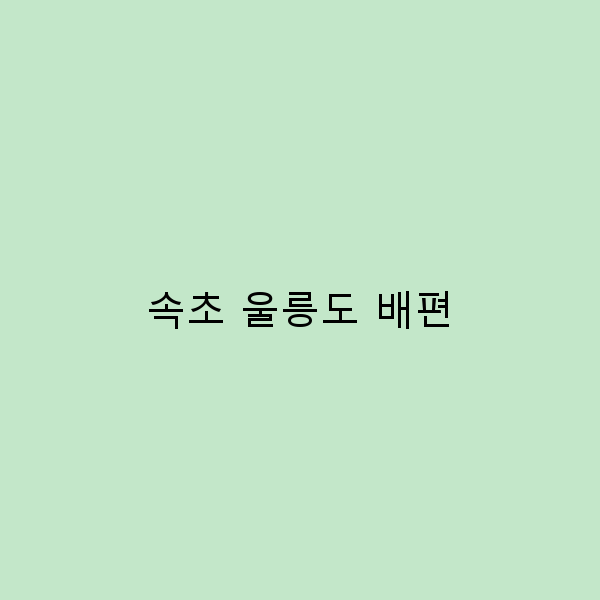 속초에서 울릉도까지, 배편으로 떠나는 완벽한 여행 가이드