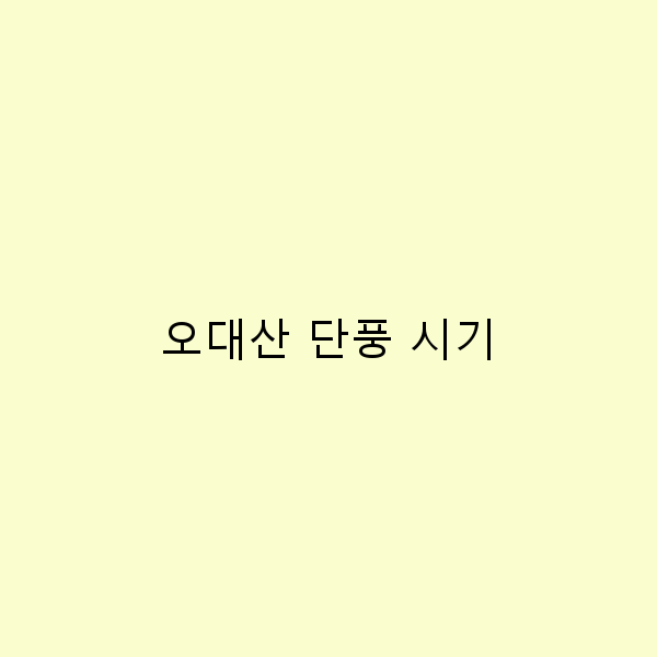 오대산 단풍 시기, 놓치면 후회할 아름다운 순간들